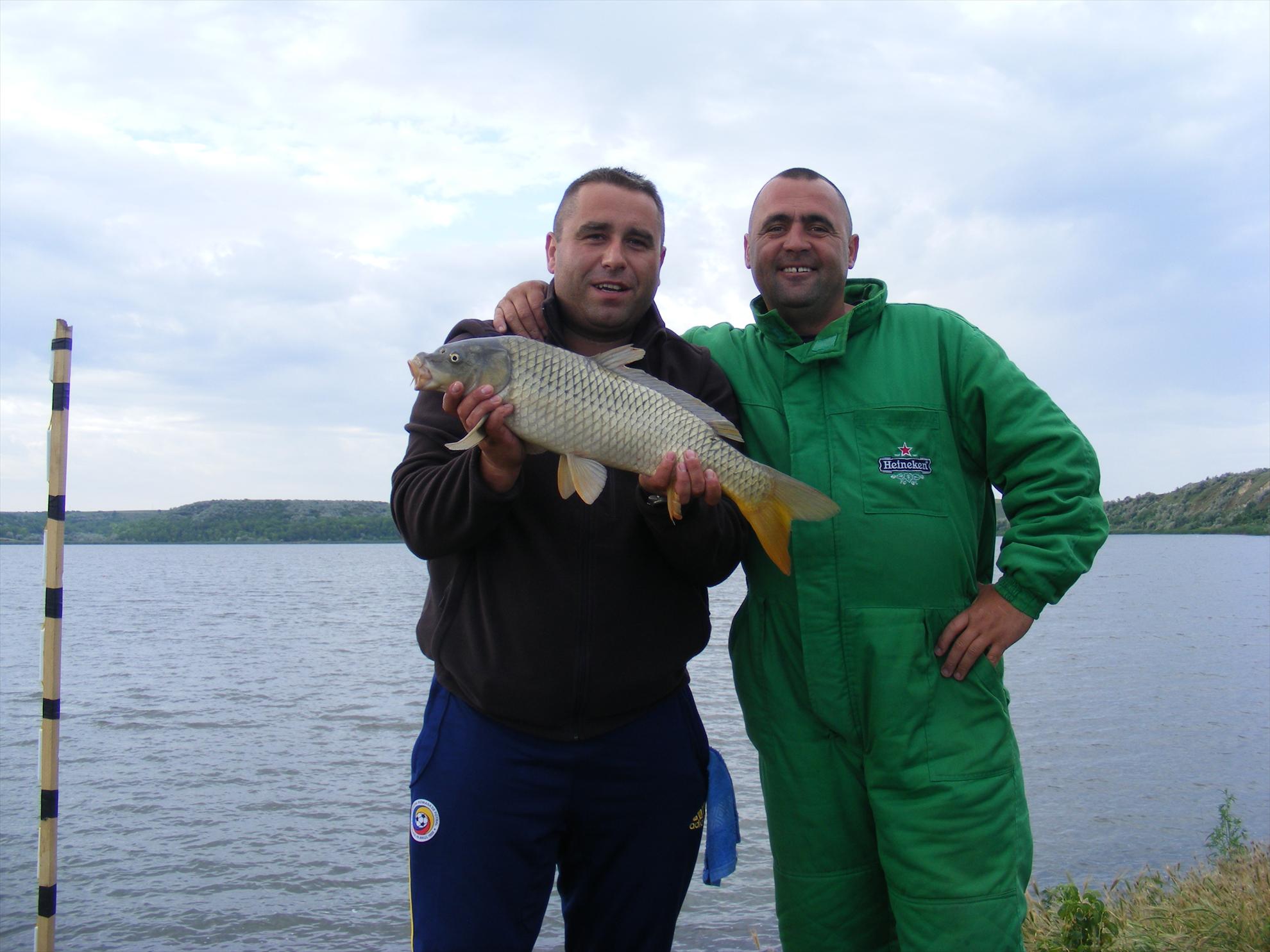 ciobanu harsova - dscf0114.JPG